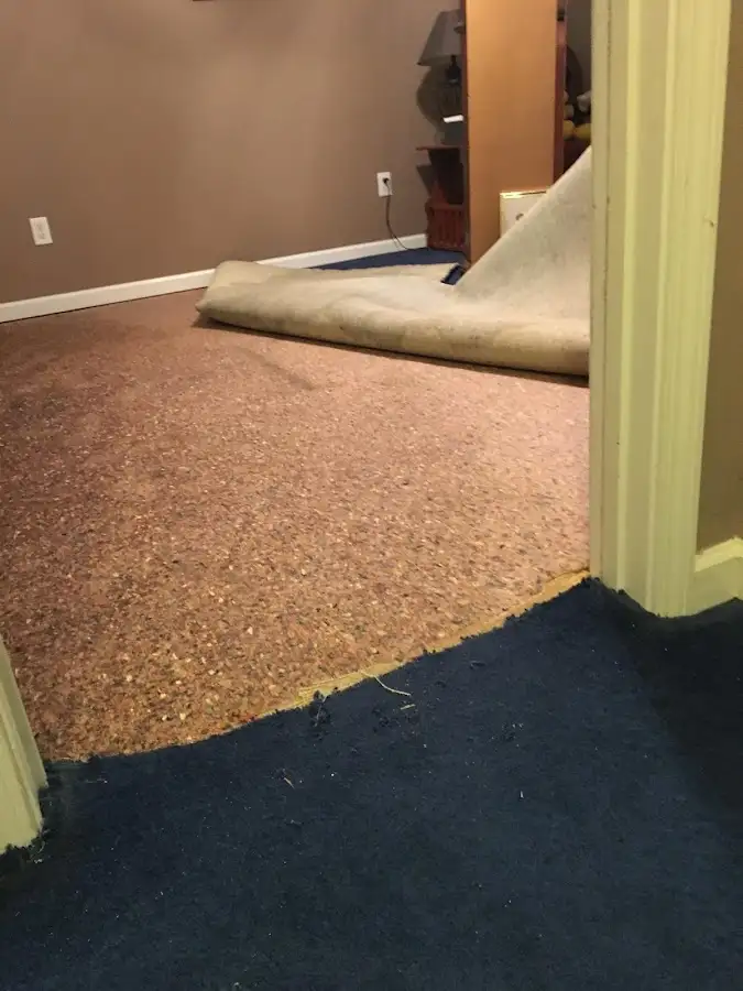 Carpet pad removal revealing water damage during Water Mitigation Services in Ashtabula