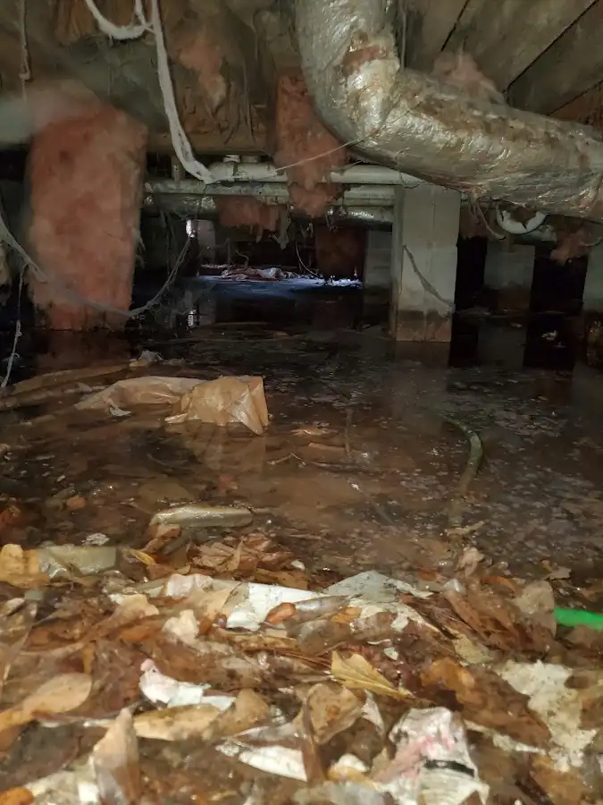 Crawl space flood assessment for Leak Detection & Repair in Ashtabula